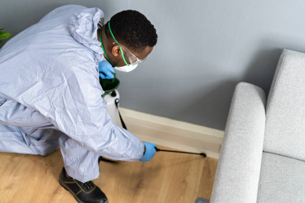 Emergency Pest Control Services in Stony Point, MI